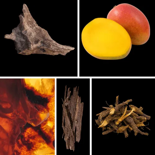 Duftnoten: Mango, Bernstein, Trockenholz, Oud (Argarholz), Nussgras/Nagarmotha